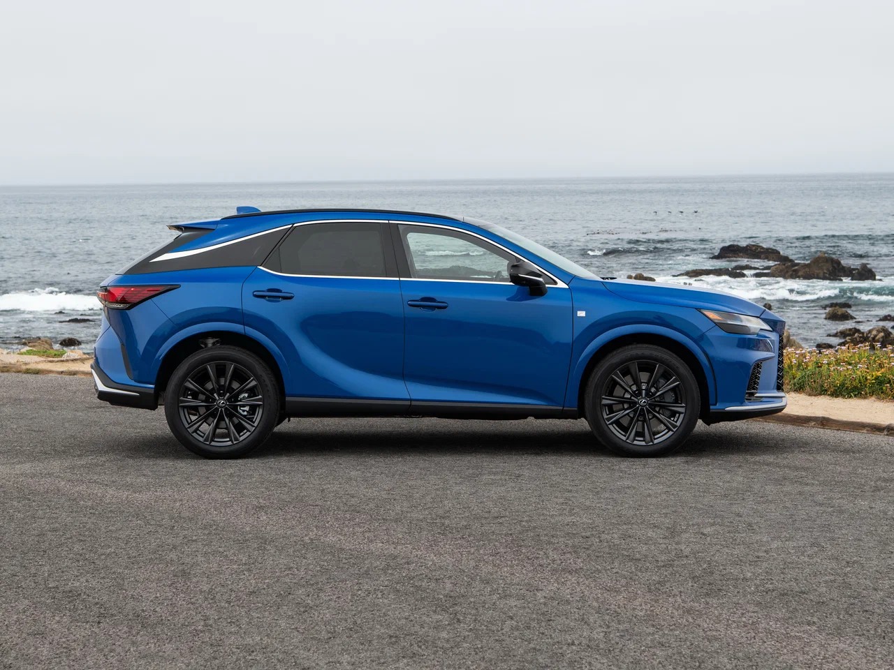 Автосалон: Lexus RX