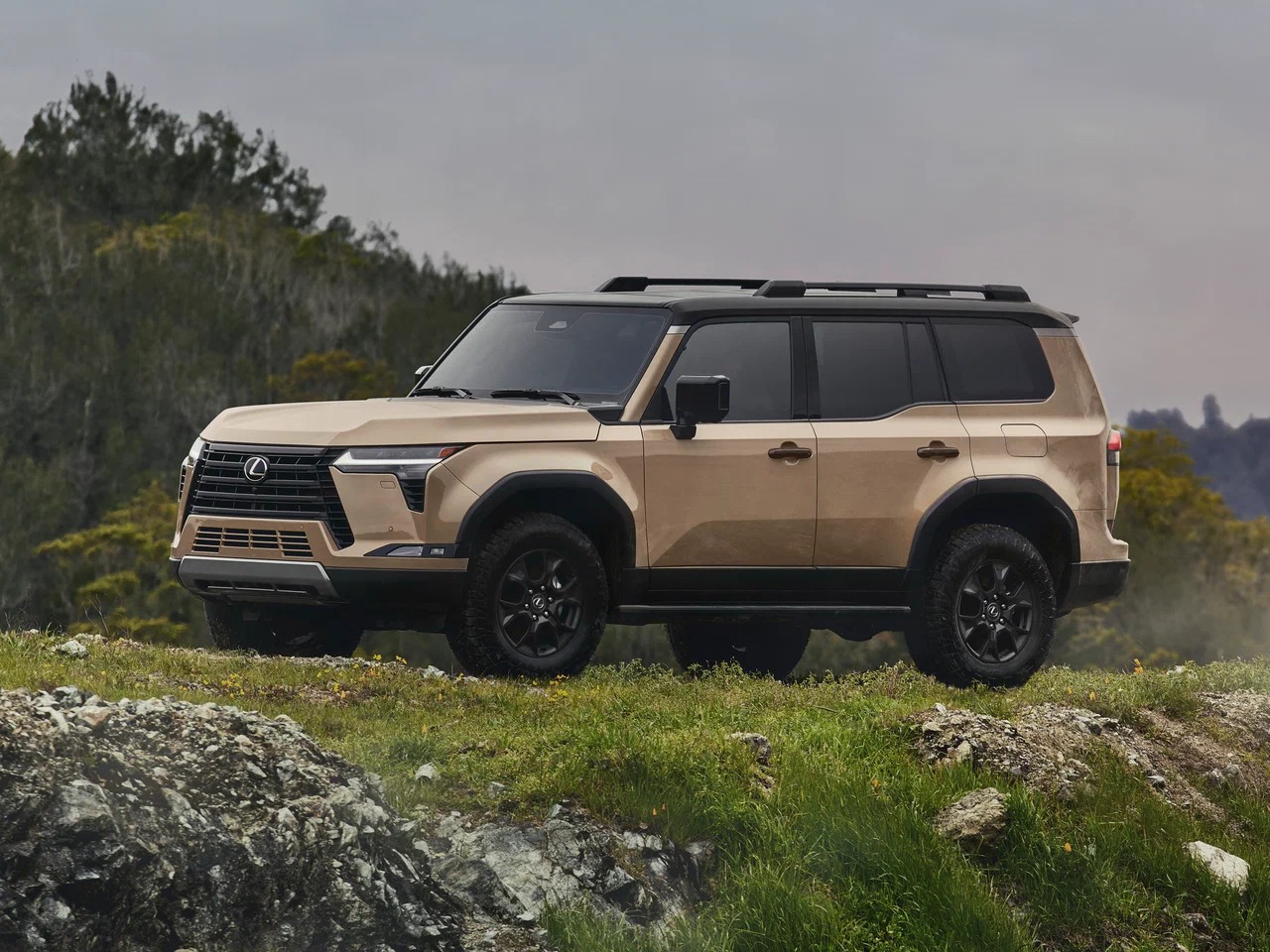 Автосалон: Lexus GX New