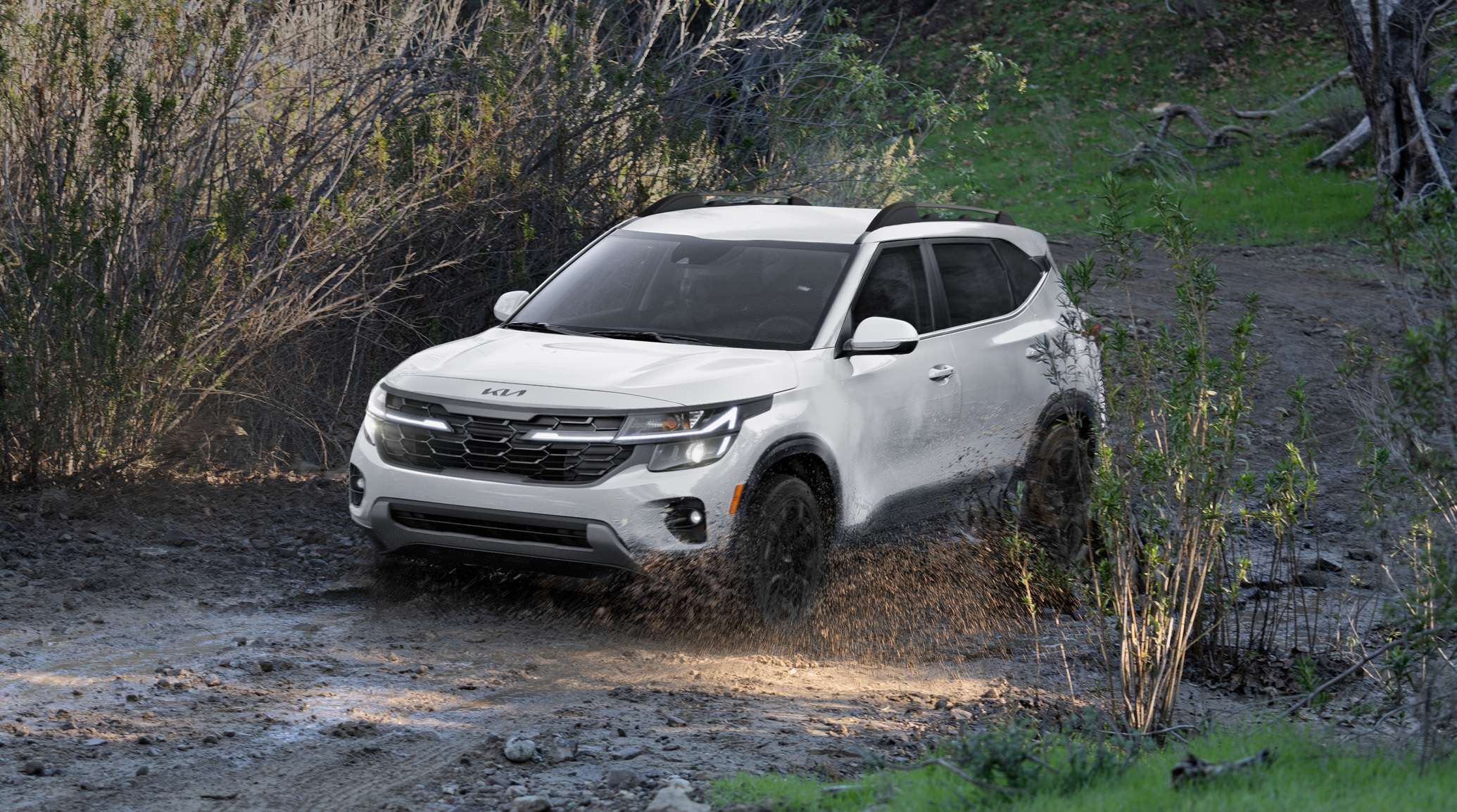 Автосалон: Kia Seltos New